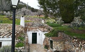Cueva El Madrono
